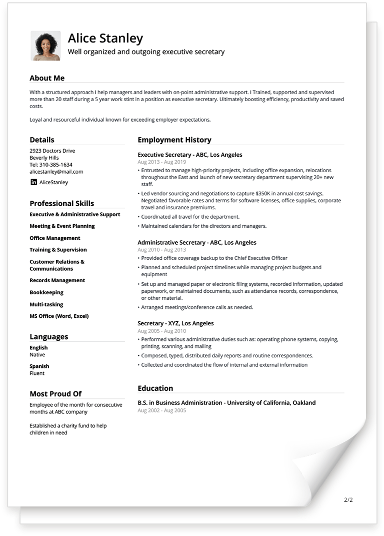 Detail Professional Curriculum Vitae Template Nomer 14