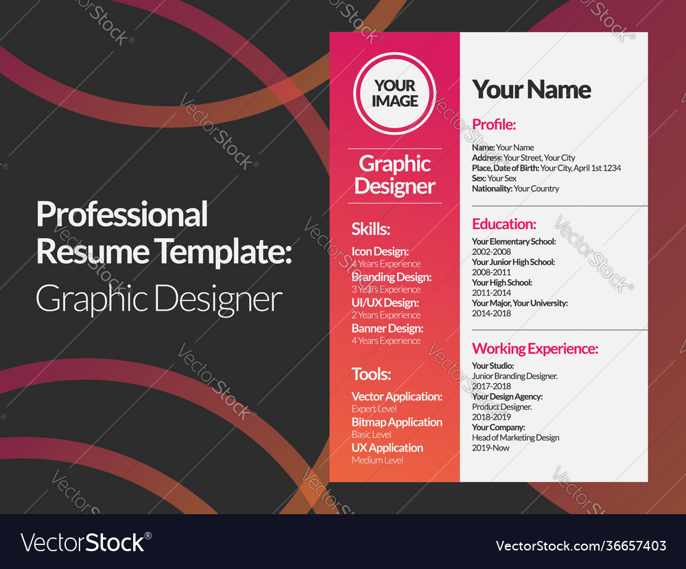 Detail Professional Cv Template For Graphic Designer Nomer 29