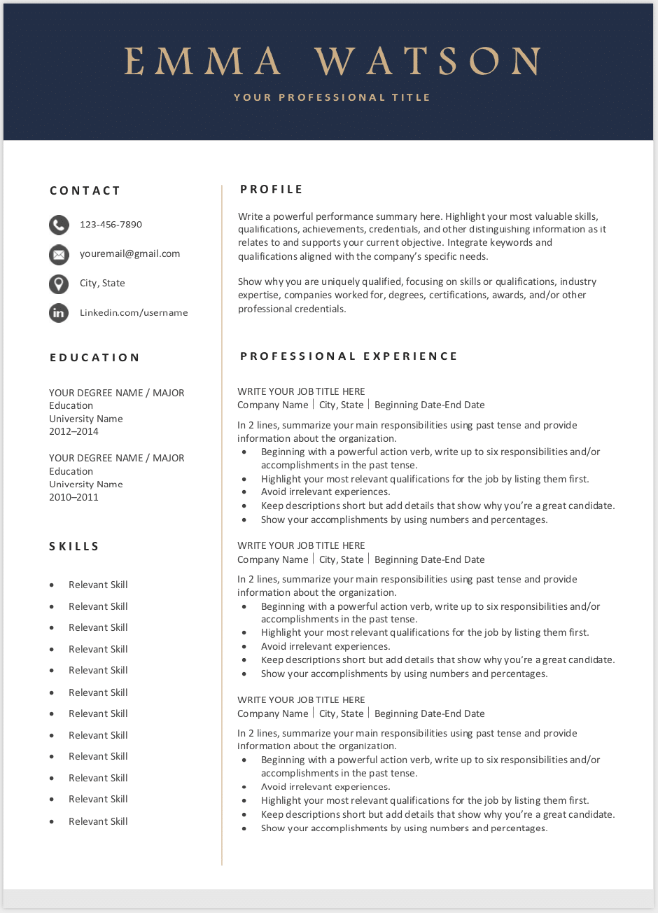 Detail Professional Cv Template Free Nomer 3