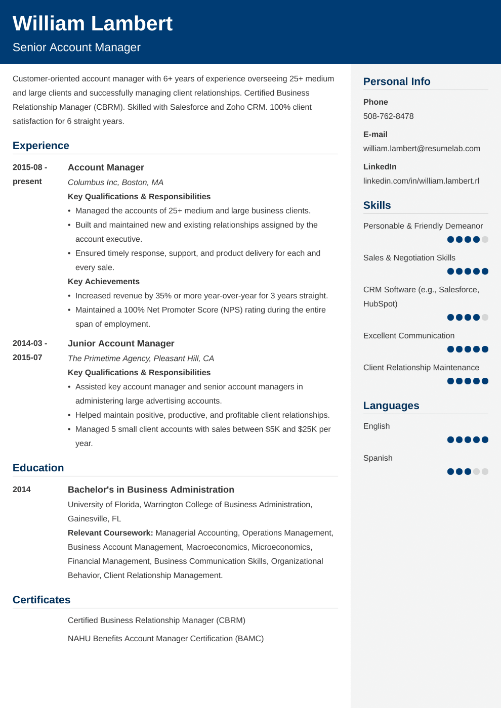 Detail Professional Cv Template Free Nomer 44