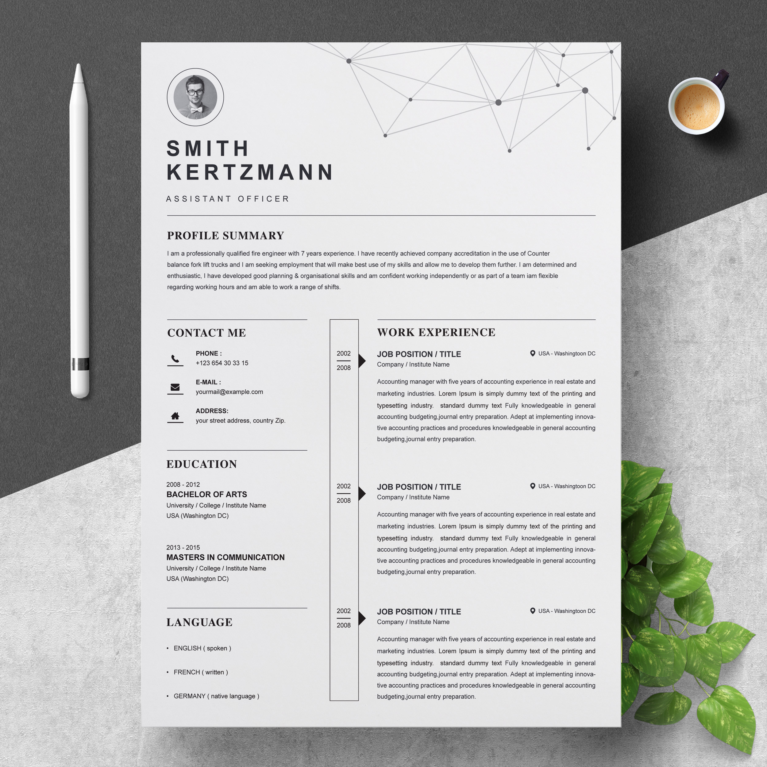 Download Professional Cv Template Free Nomer 6