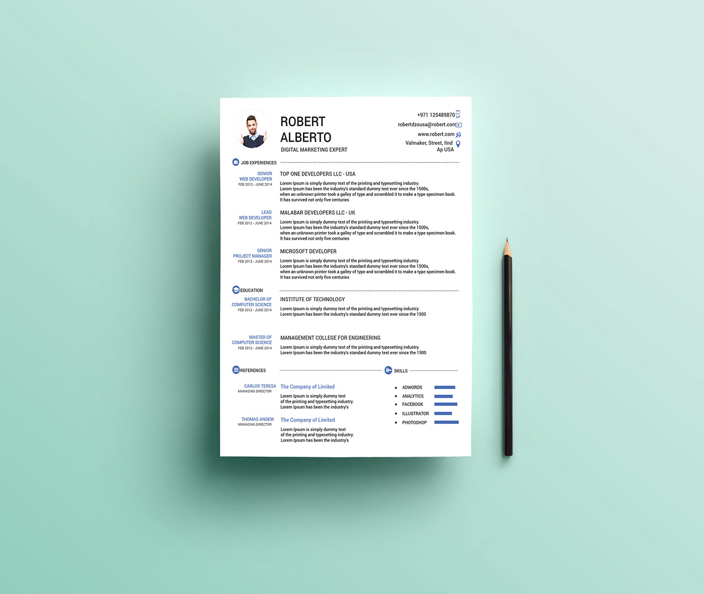 Detail Professional Profile Template Word Nomer 22