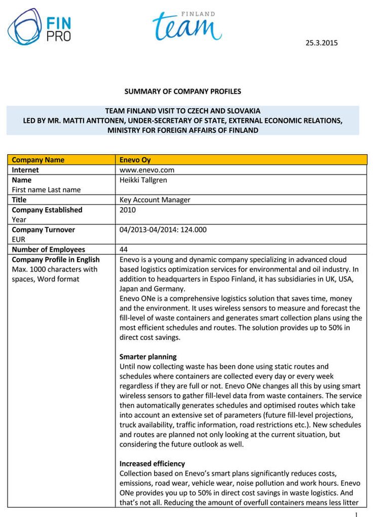 Detail Professional Profile Template Word Nomer 24