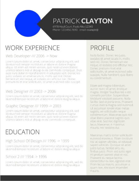 Detail Professional Profile Template Word Nomer 28