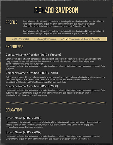 Detail Professional Profile Template Word Nomer 49