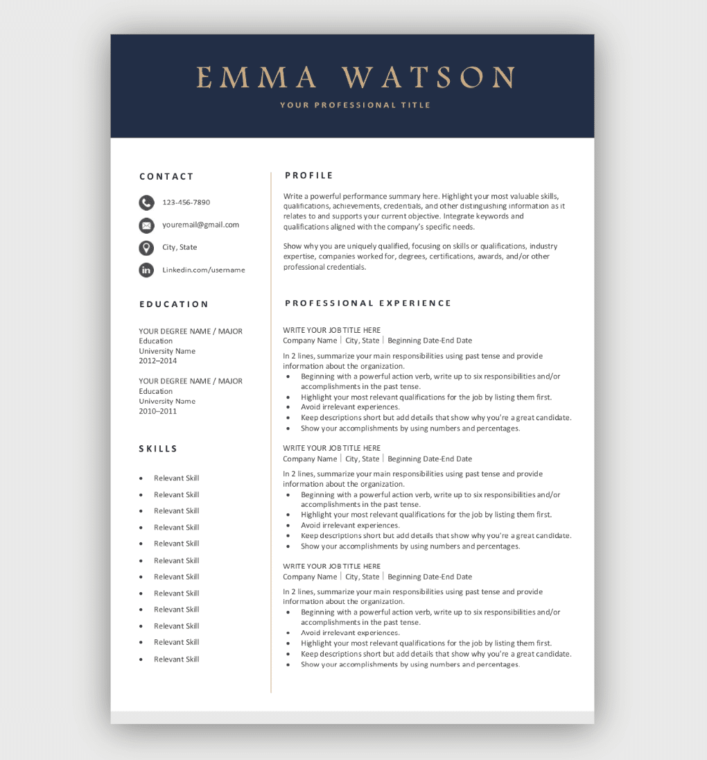 Detail Professional Resume Template Free Download Nomer 12