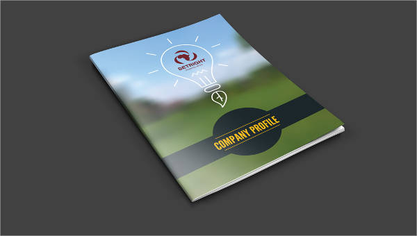 Detail Profile Booklet Template Nomer 54