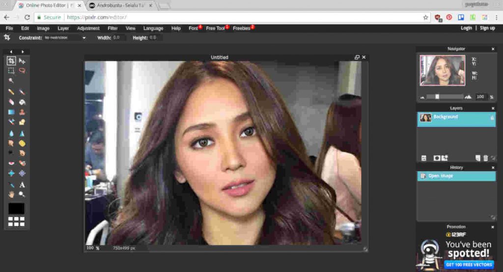 Detail Program Edit Gambar Online Nomer 14