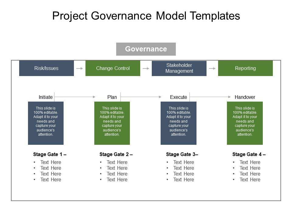 Detail Program Governance Template Nomer 13