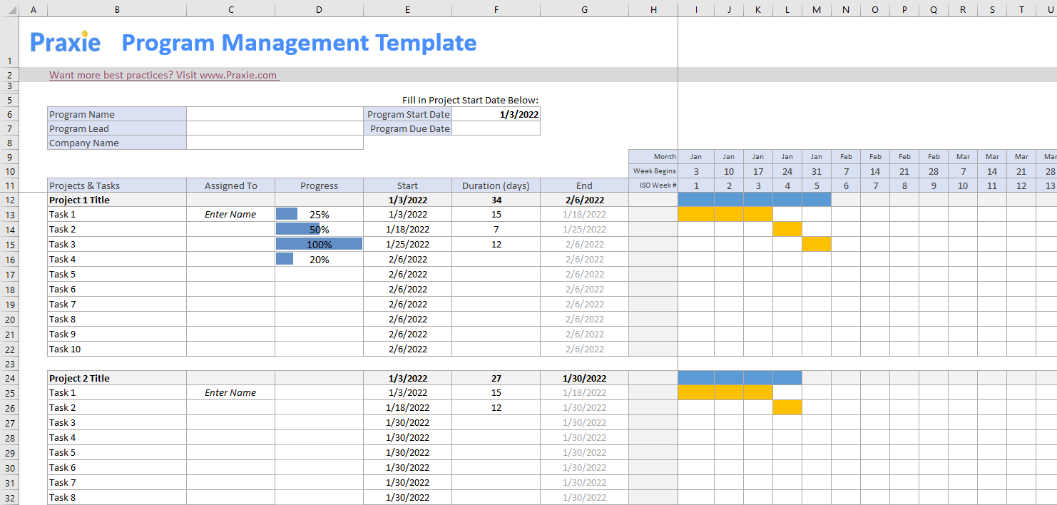 Detail Program Governance Template Nomer 18