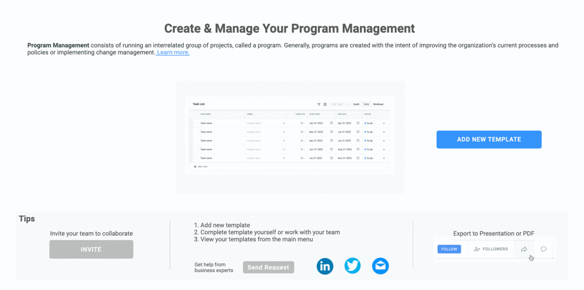Detail Program Governance Template Nomer 29