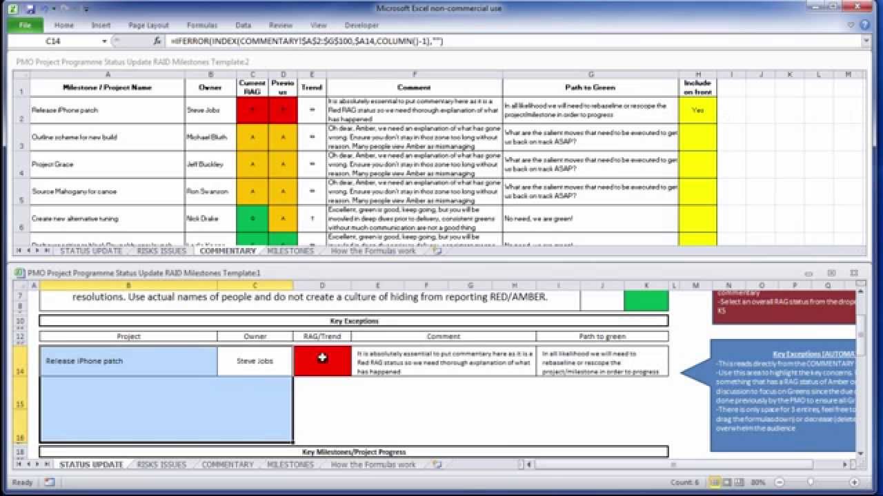 Detail Program Governance Template Nomer 35