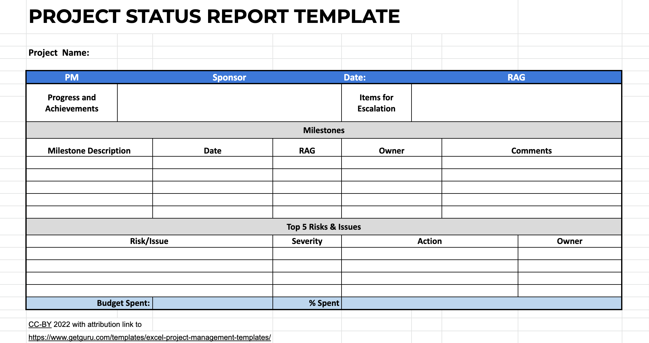 Detail Program Governance Template Nomer 52