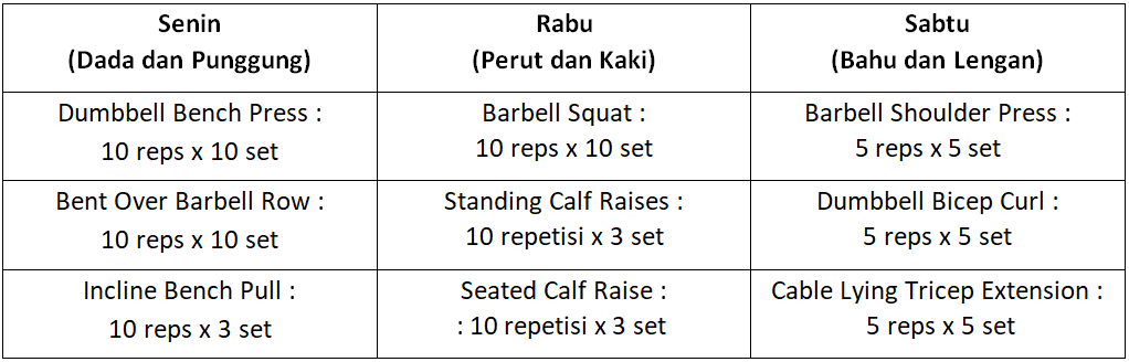 Detail Program Latihan Fitnes Pemula Beserta Gambar Nomer 4