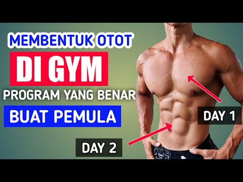 Detail Program Latihan Fitnes Pemula Beserta Gambar Nomer 28