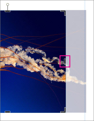Detail Program Untuk Memotong Gambar Nomer 41