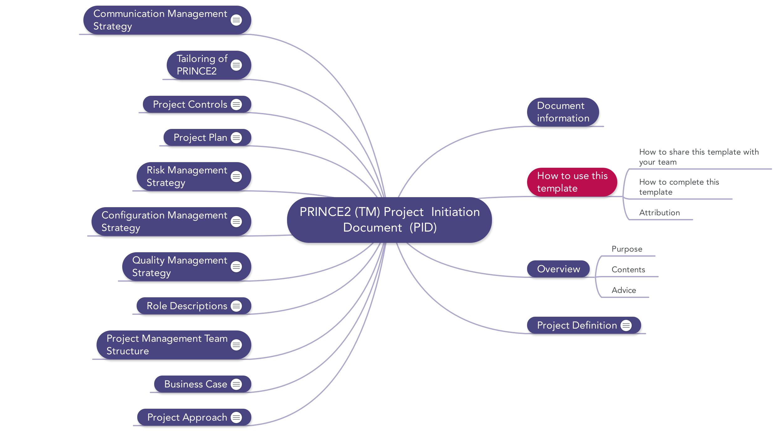 Detail Programme Initiation Document Template Nomer 11