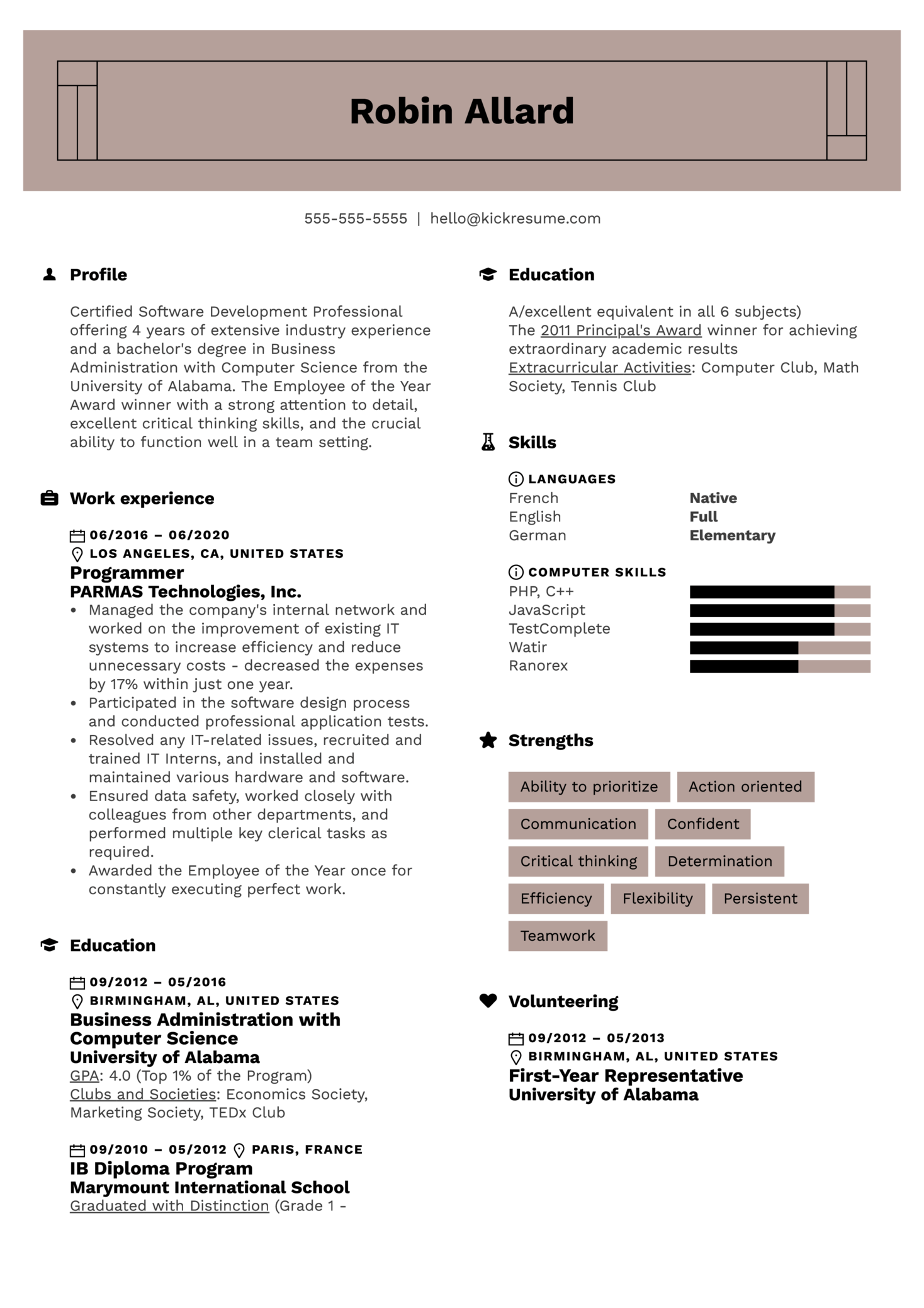 Programmer Resume Template - KibrisPDR