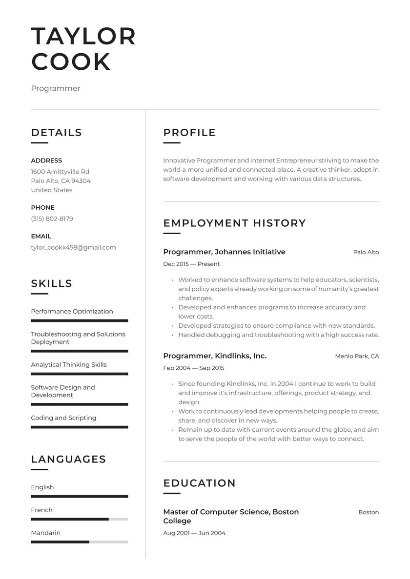 Detail Programmer Resume Template Nomer 2