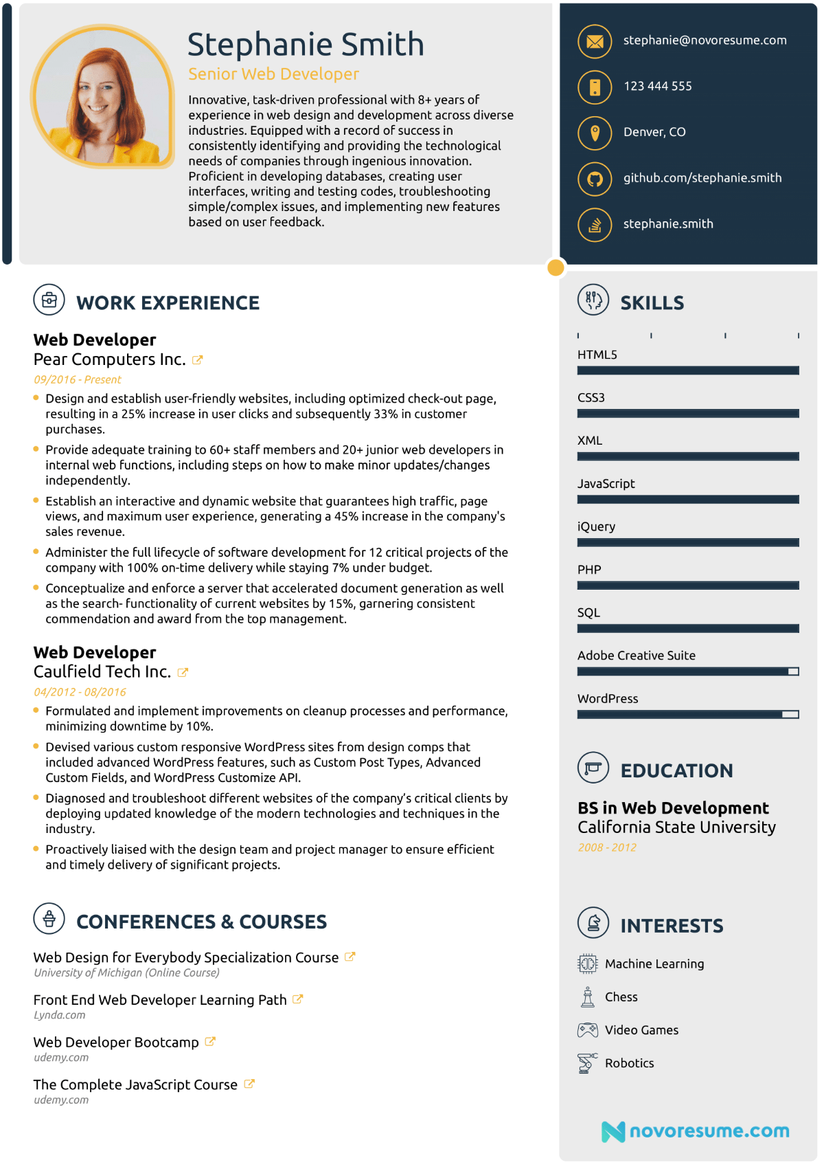 Detail Programmer Resume Template Nomer 10