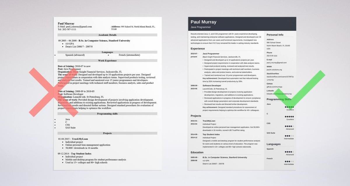 Detail Programmer Resume Template Nomer 11