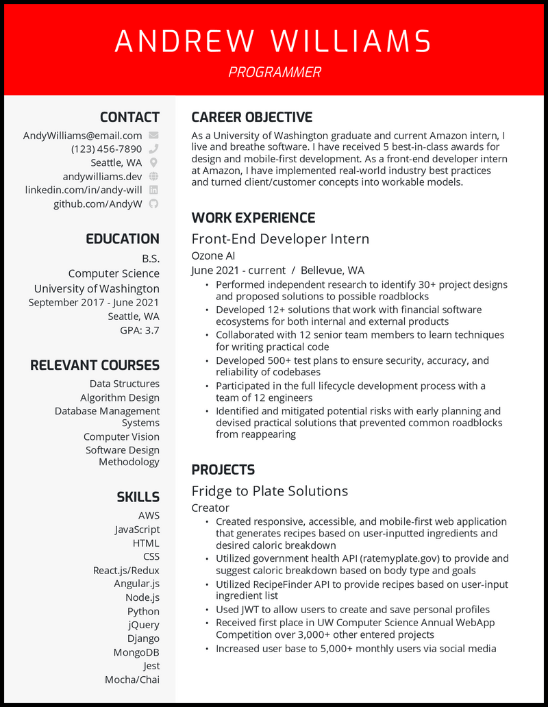 Detail Programmer Resume Template Nomer 13