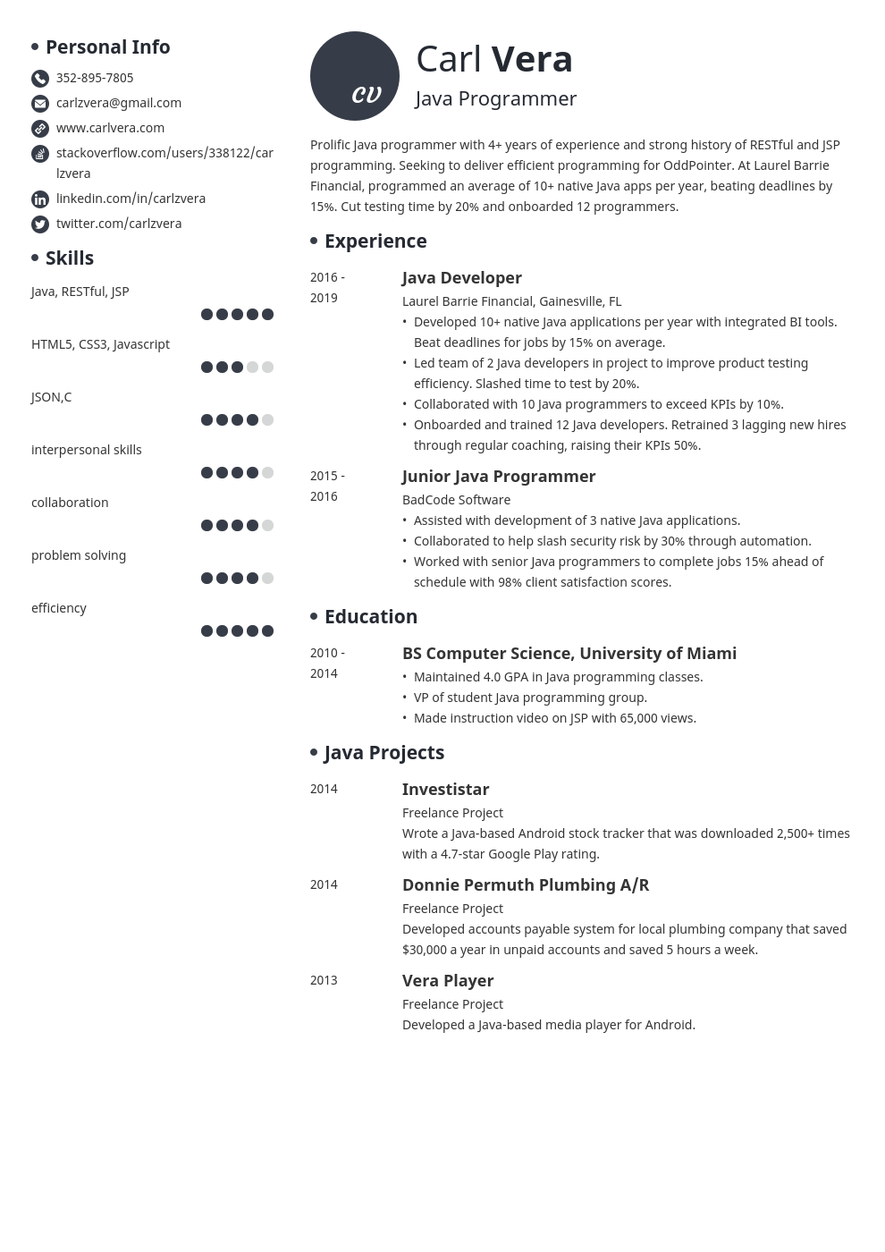 Detail Programmer Resume Template Nomer 17