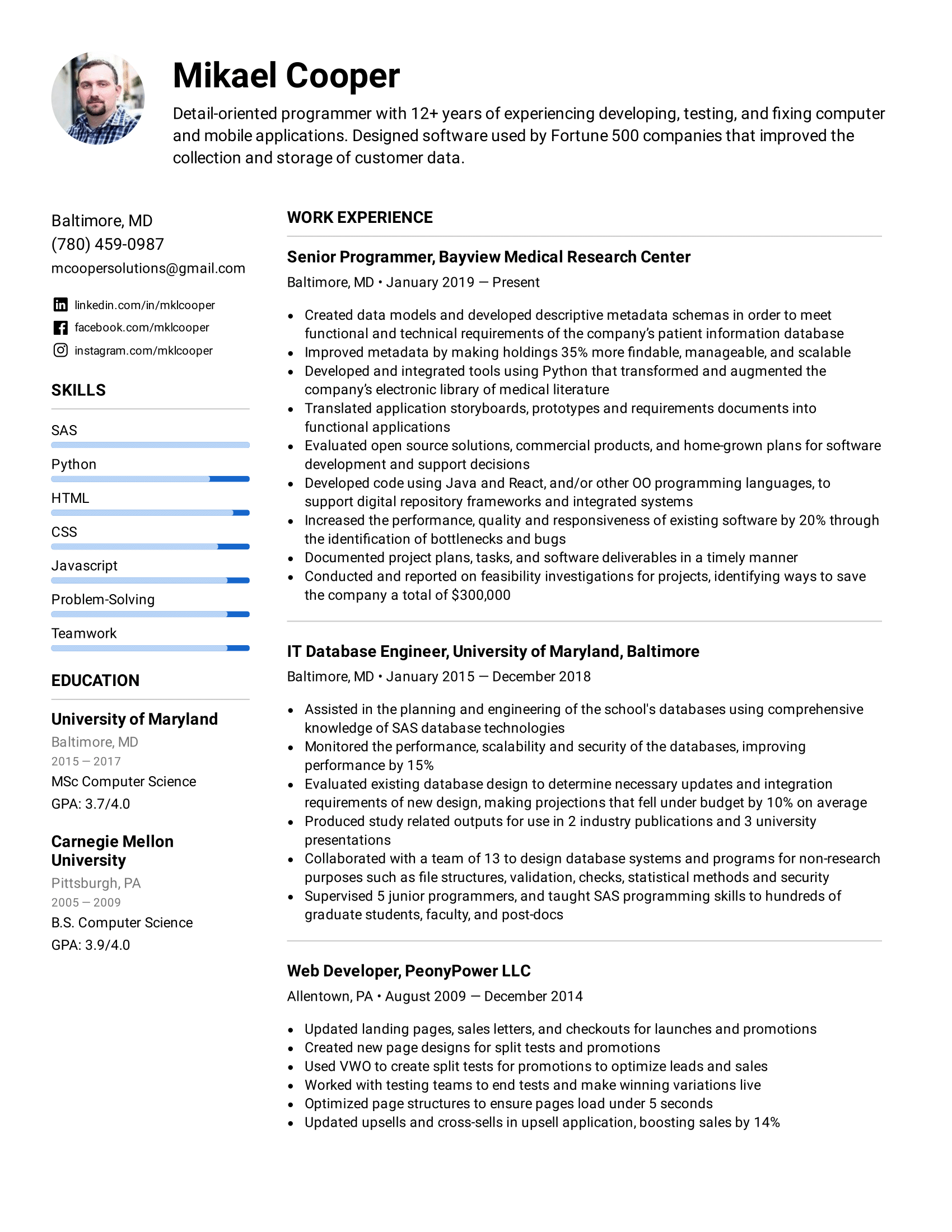 Detail Programmer Resume Template Nomer 18