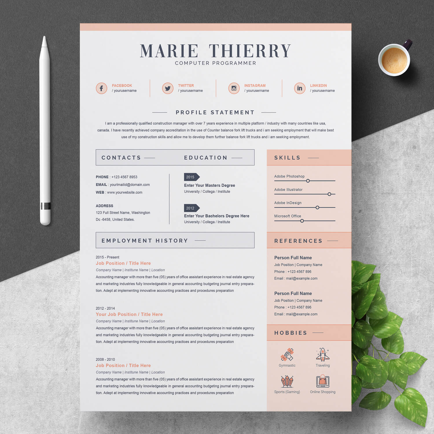 Detail Programmer Resume Template Nomer 19