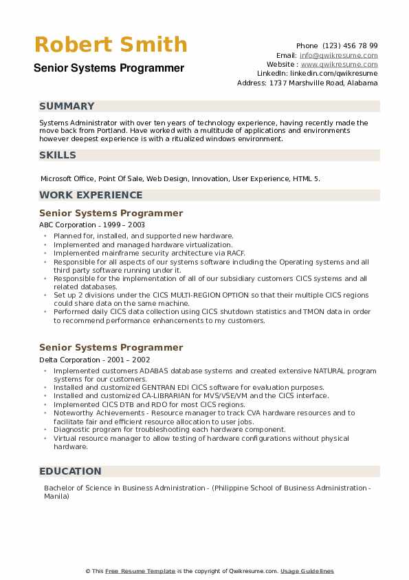 Detail Programmer Resume Template Nomer 20