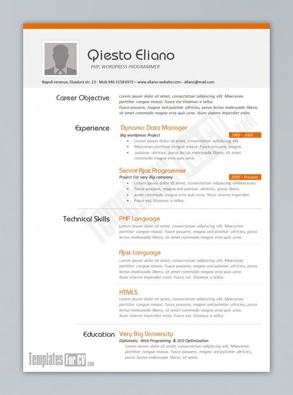 Detail Programmer Resume Template Nomer 21