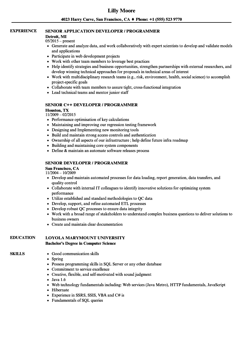 Detail Programmer Resume Template Nomer 24