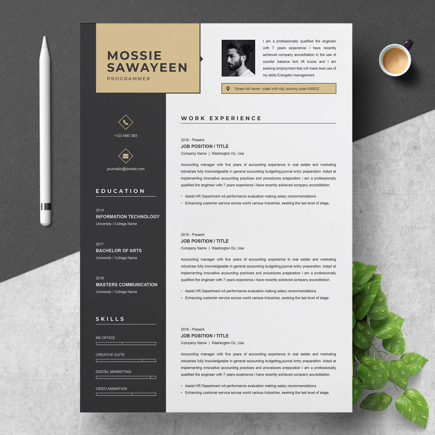 Detail Programmer Resume Template Nomer 25