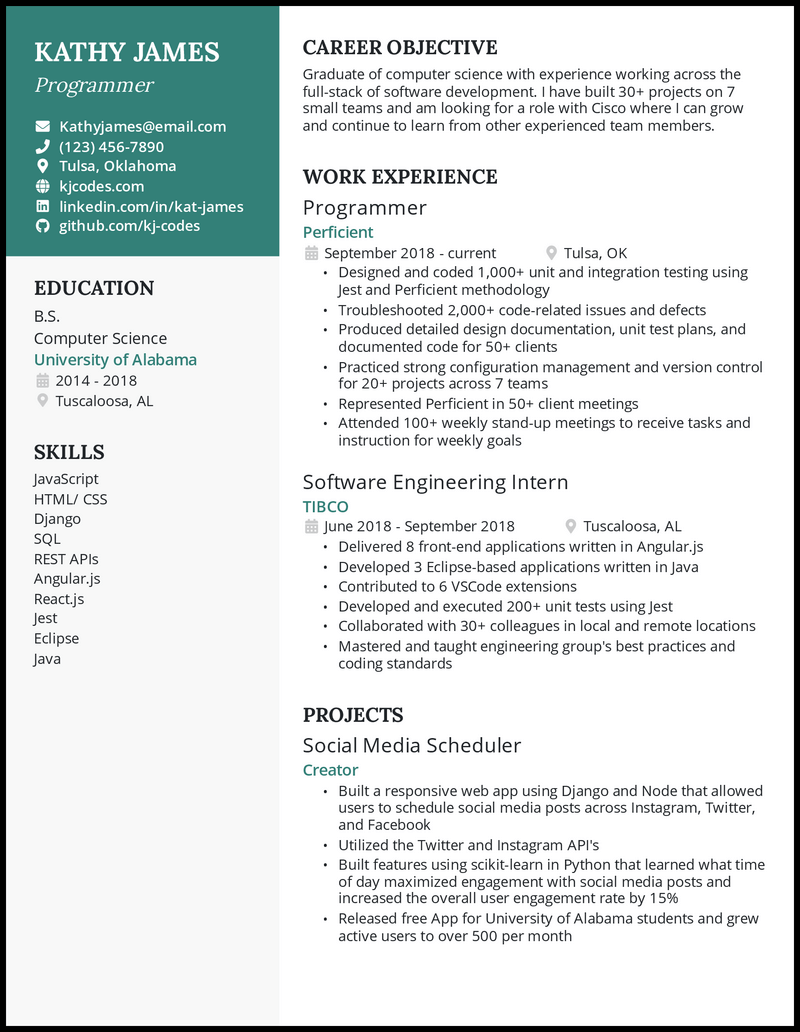 Detail Programmer Resume Template Nomer 4
