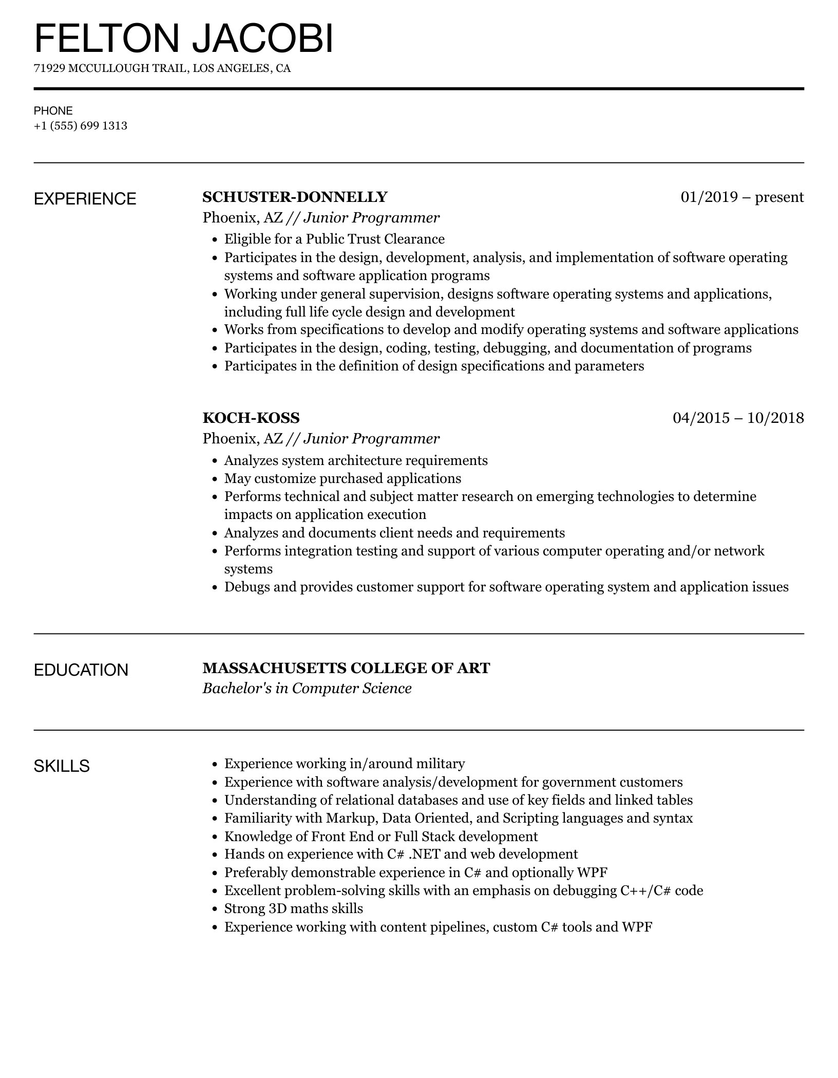 Detail Programmer Resume Template Nomer 28