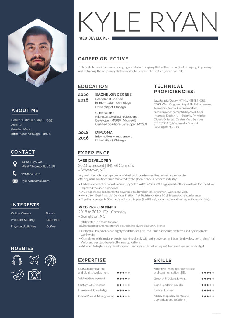 Detail Programmer Resume Template Nomer 30