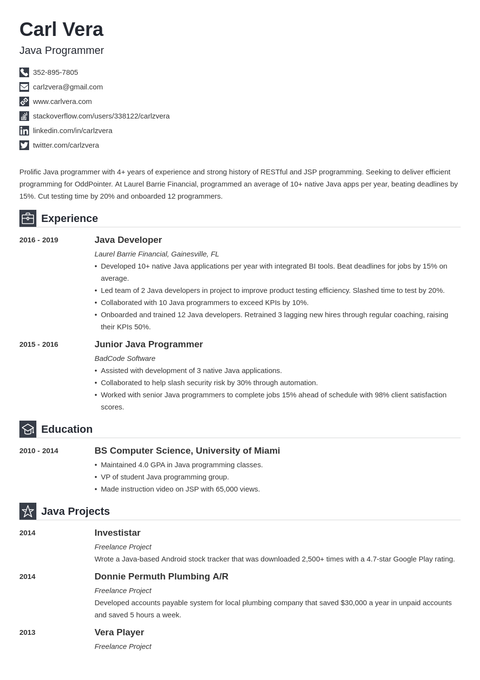 Detail Programmer Resume Template Nomer 31