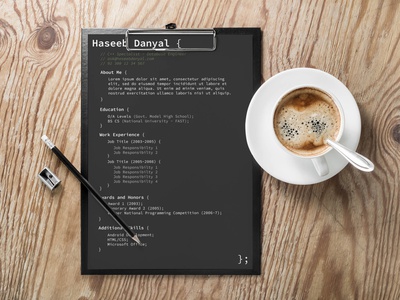 Detail Programmer Resume Template Nomer 33