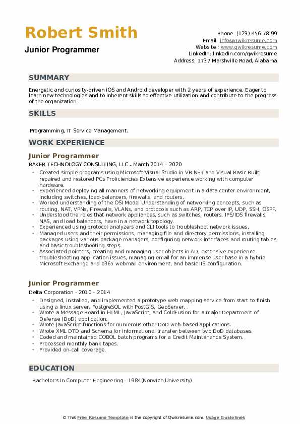 Detail Programmer Resume Template Nomer 34