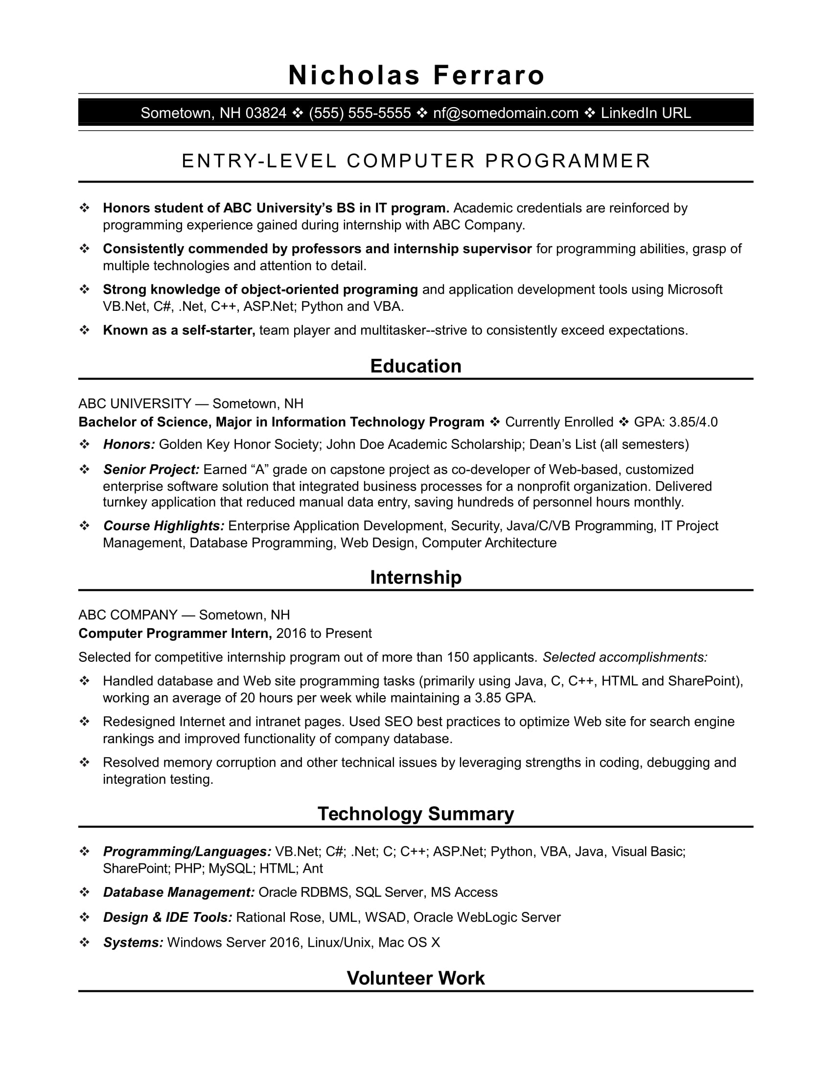 Detail Programmer Resume Template Nomer 5