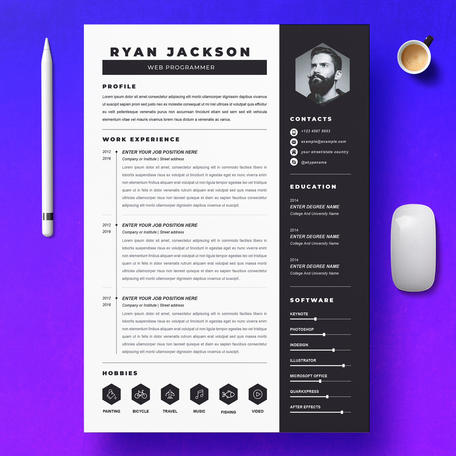 Detail Programmer Resume Template Nomer 35