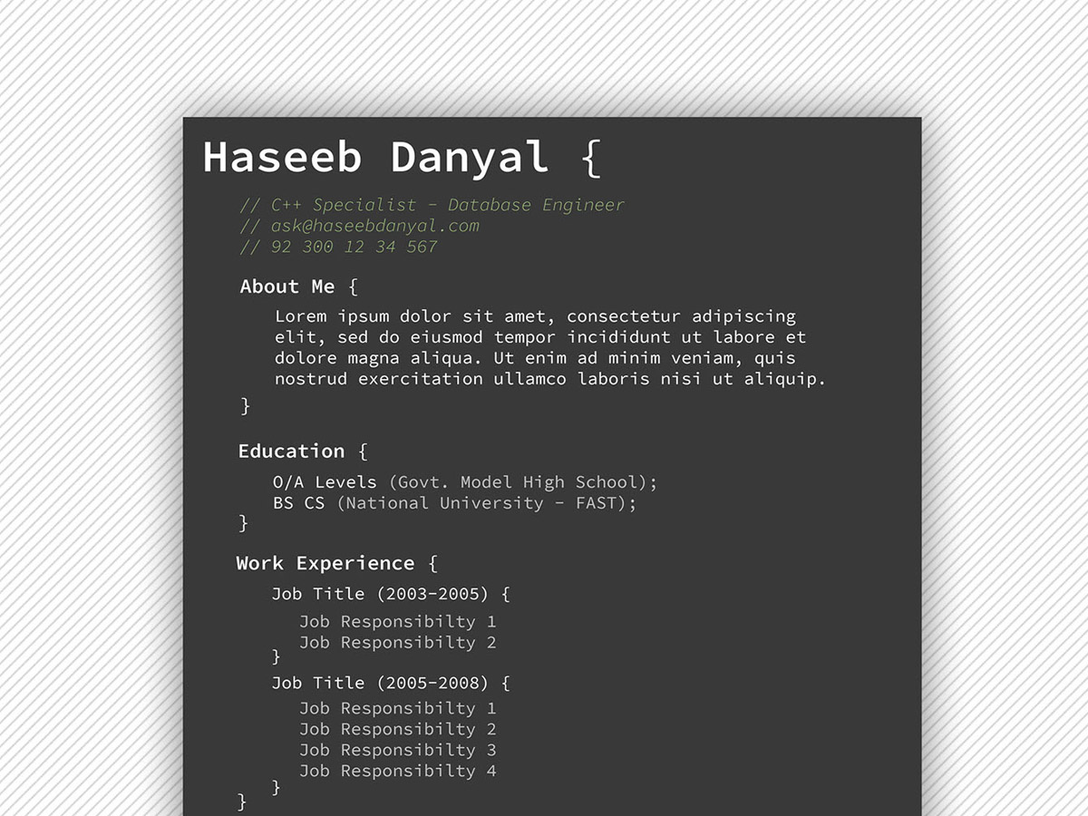 Detail Programmer Resume Template Nomer 36