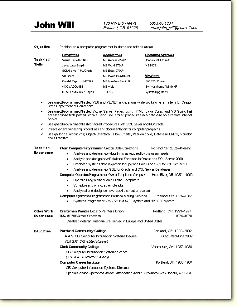 Detail Programmer Resume Template Nomer 37