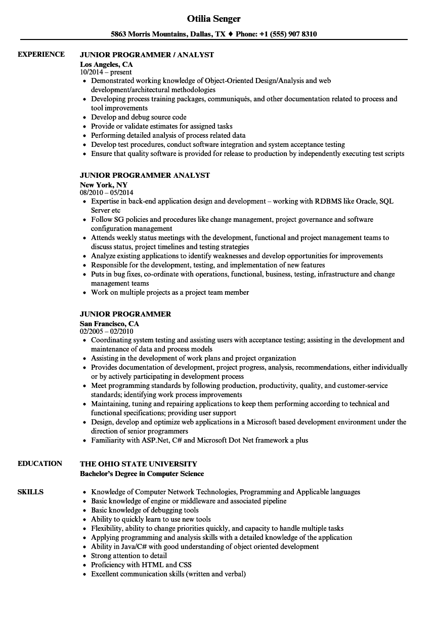 Detail Programmer Resume Template Nomer 38