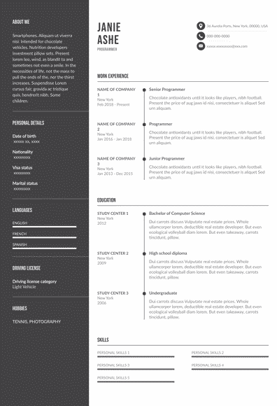 Detail Programmer Resume Template Nomer 39