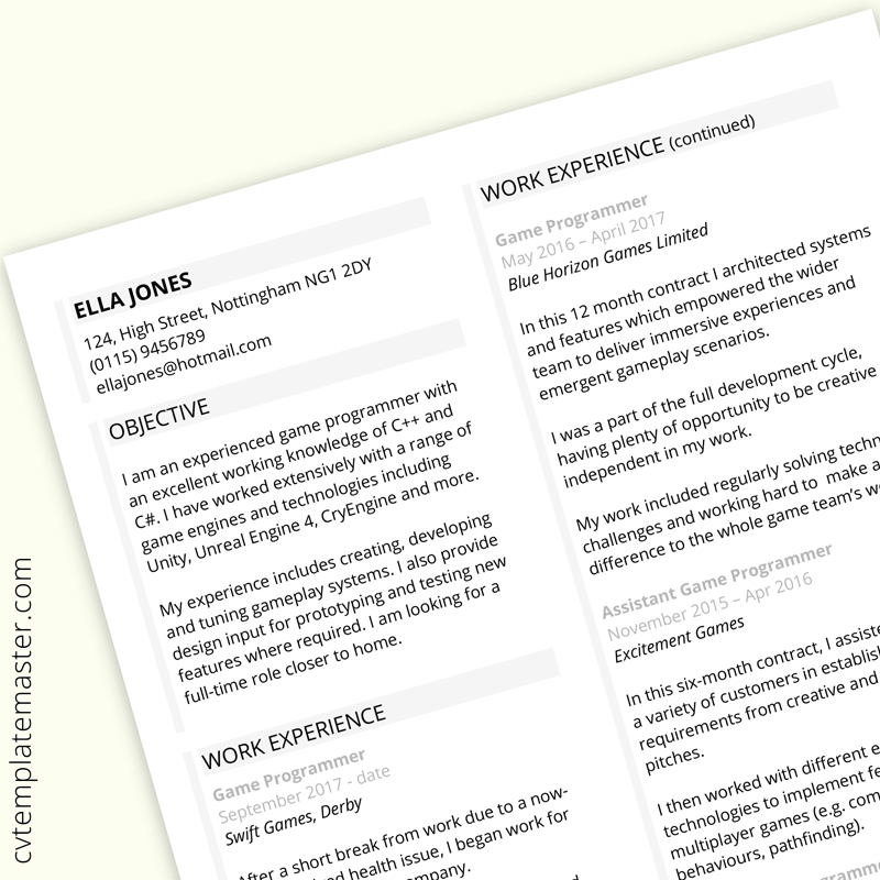 Detail Programmer Resume Template Nomer 40