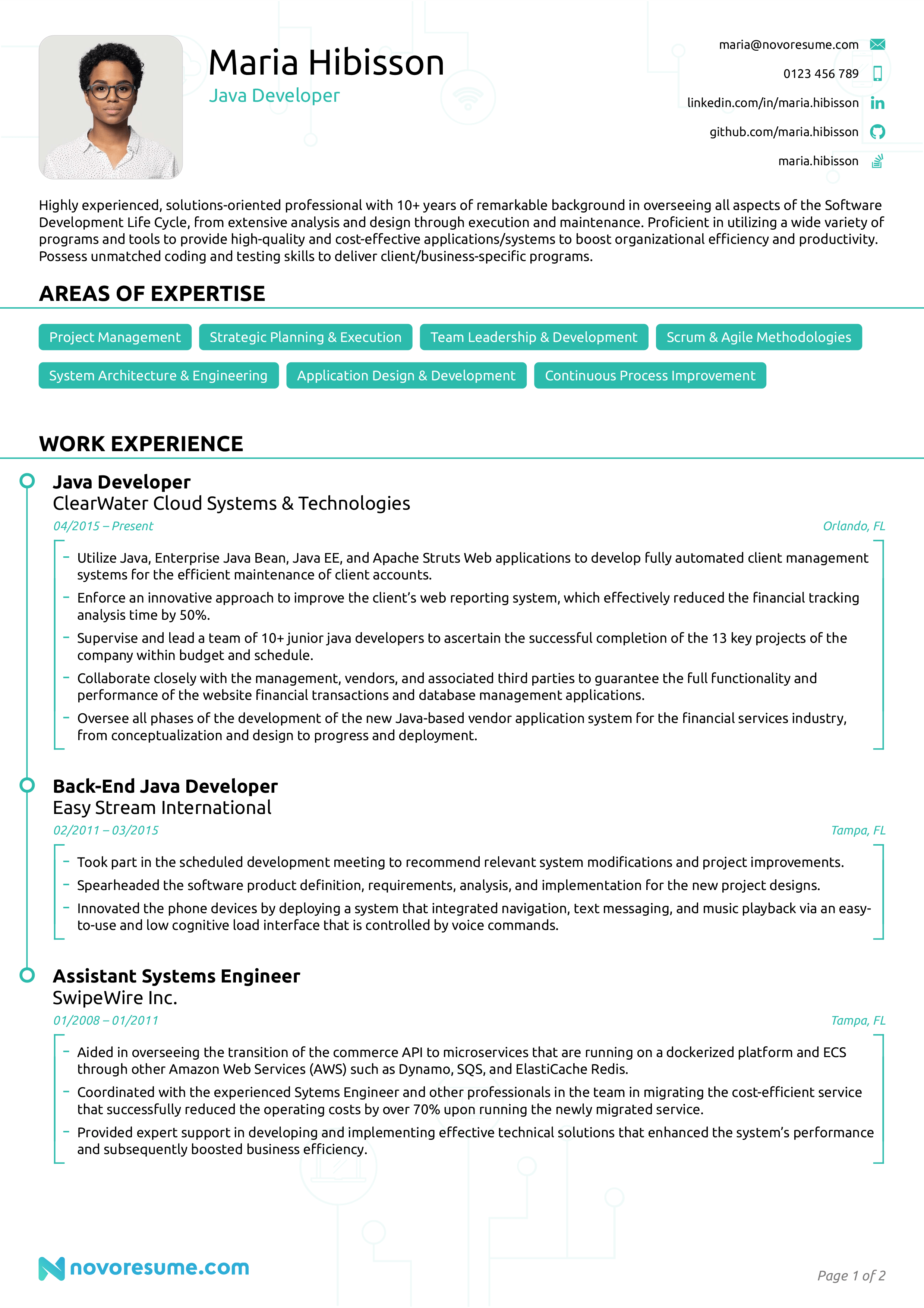 Detail Programmer Resume Template Nomer 41