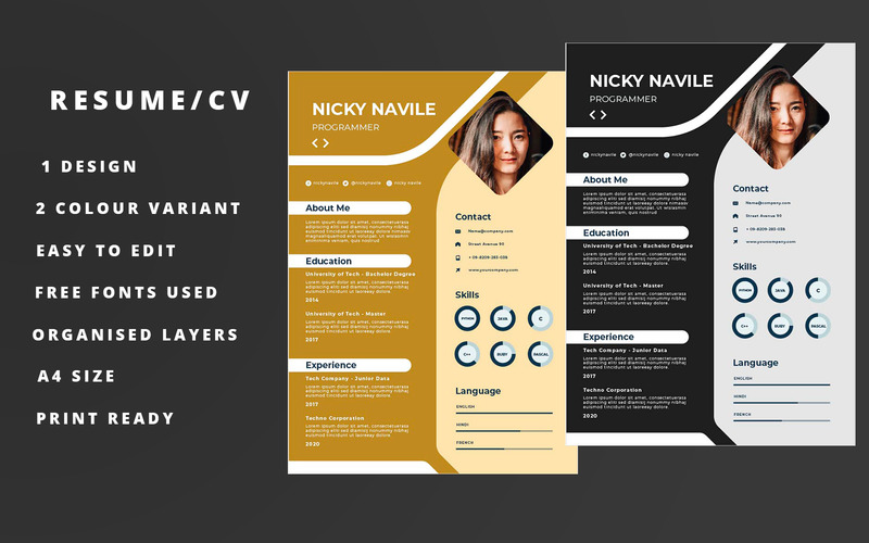 Detail Programmer Resume Template Nomer 42