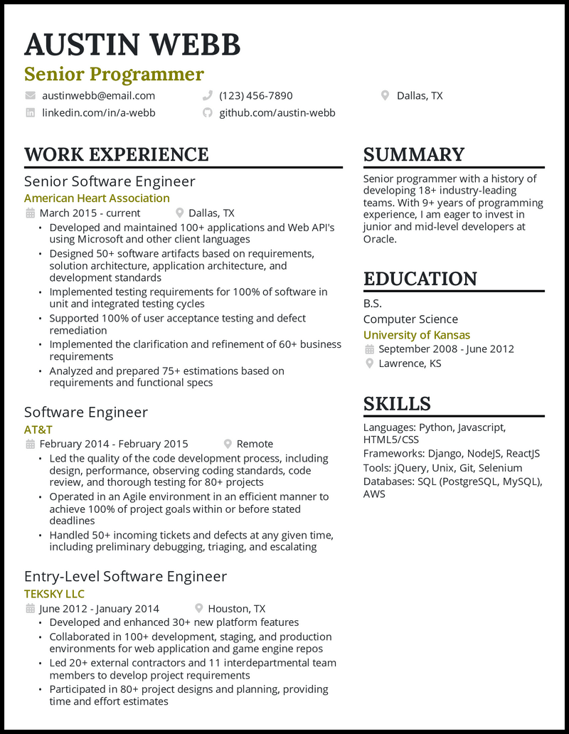 Detail Programmer Resume Template Nomer 6