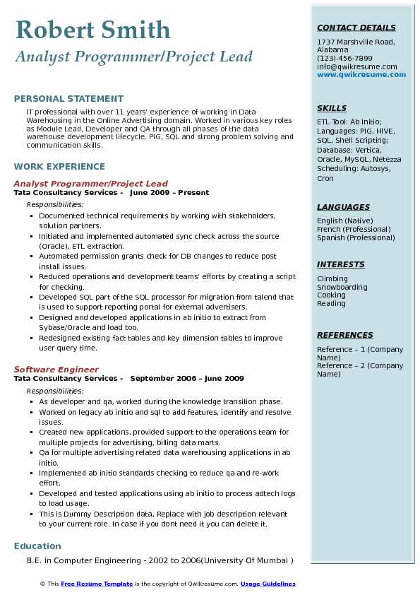 Detail Programmer Resume Template Nomer 43